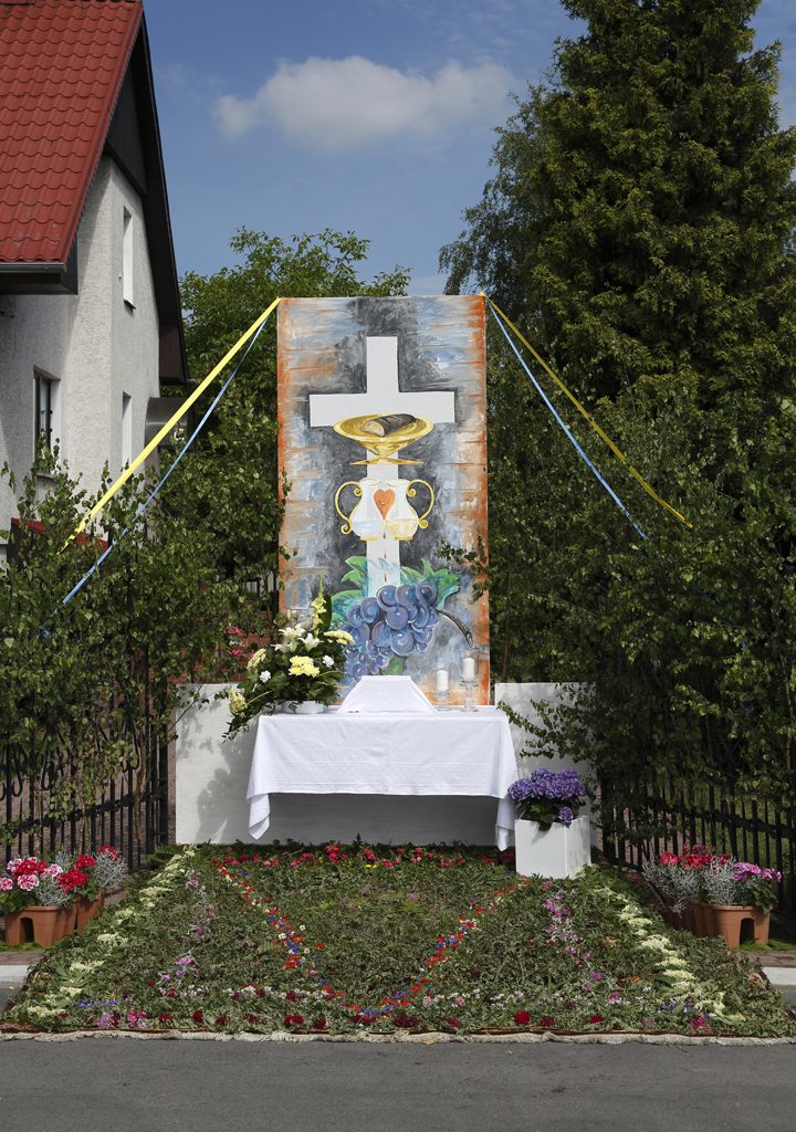 Nowe zdjęcia w galerii